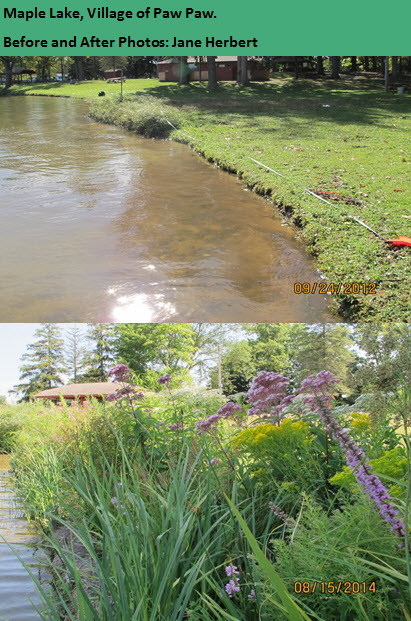 maple_lake_Village of Paw Paw-before and after